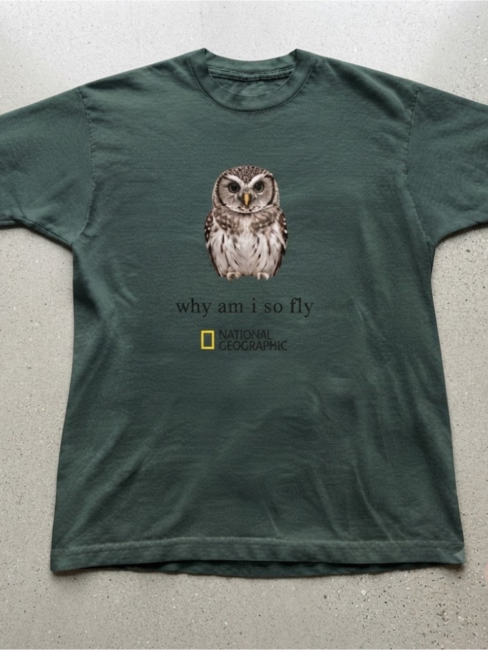 Funny Owl Why Am I So Fly Forest Green Gildan T-shirt